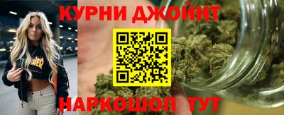 гидра Кимры