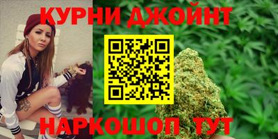 гидра Кимры